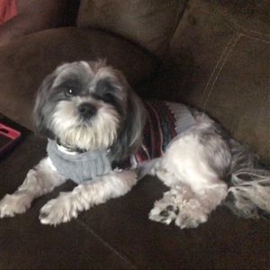 Meet your Posher, Roshonda